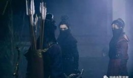 大明刺客在线观看,暗影江湖，风云再起